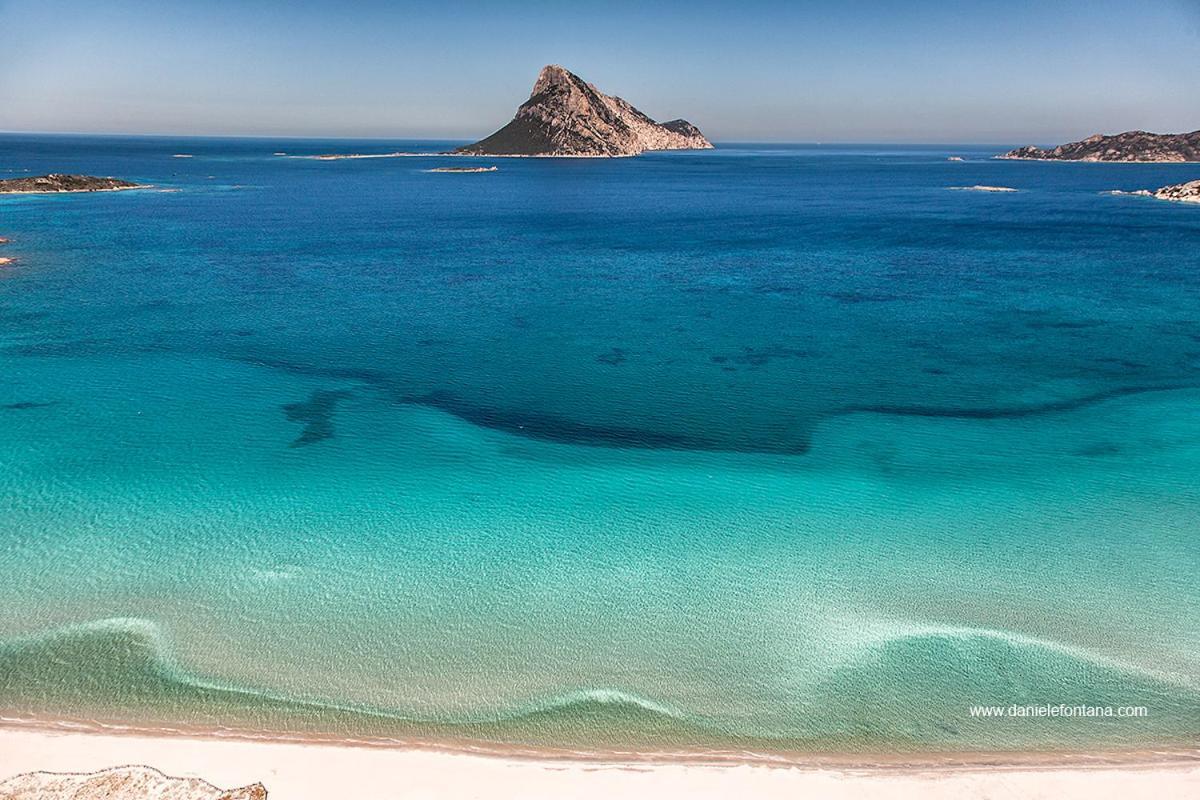 Aria Di Vacanza - Gelsi Olbia Exterior photo