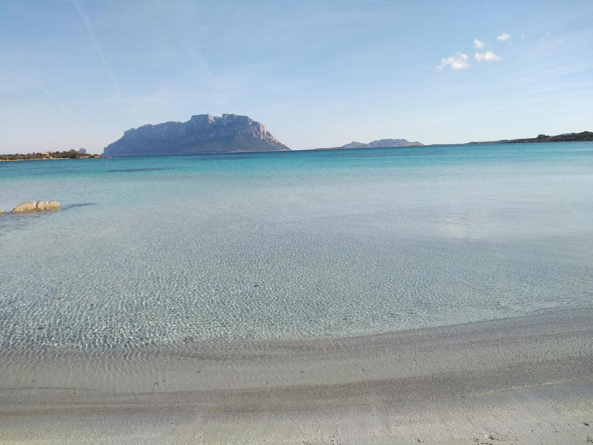 Aria Di Vacanza - Gelsi Olbia Exterior photo